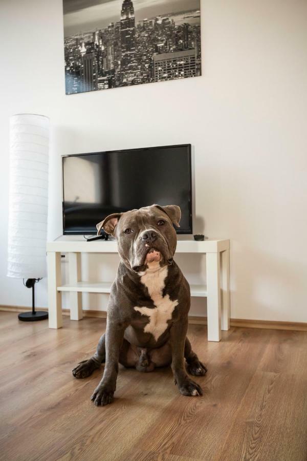 Apartment Avr Hof 8 *